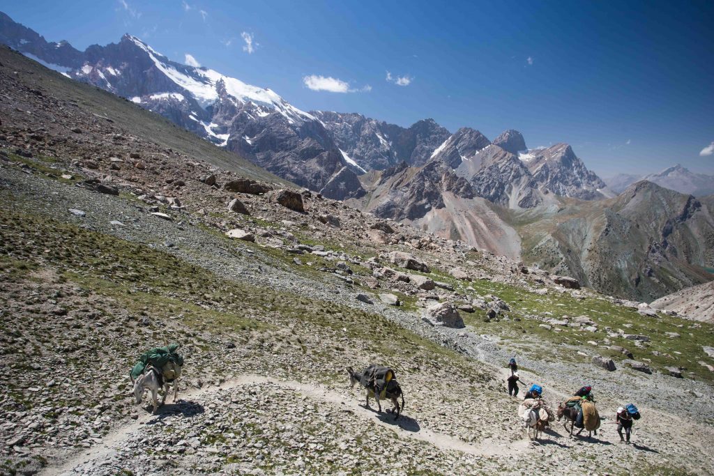 A team of donkeys climbs to the Alaudin Pass from the Kulaikalon Valley to Alauddin Valley in the Fann Mountains of Tajikistan.